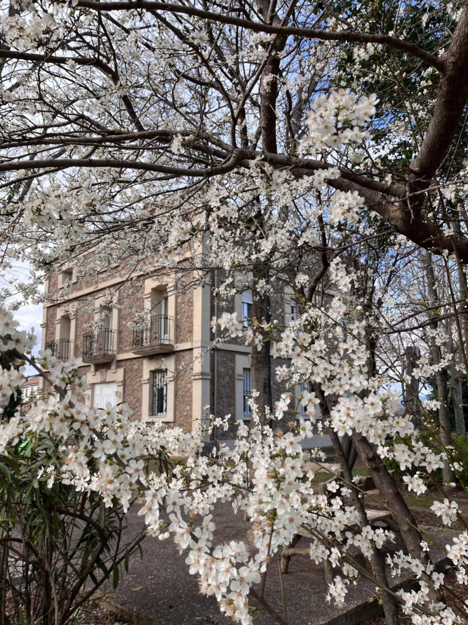 Villa Merenciana Agoncillo Buitenkant foto