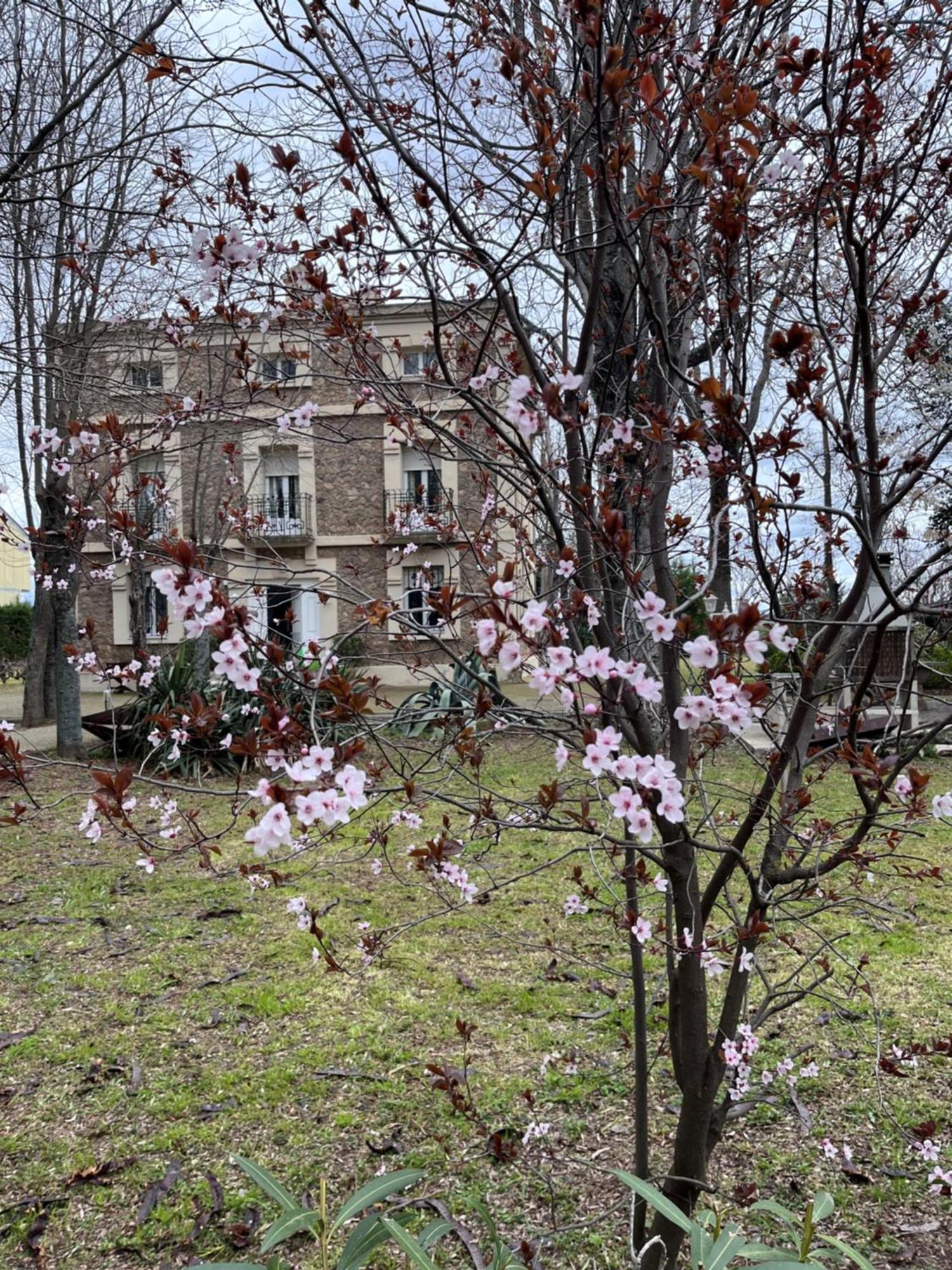 Villa Merenciana Agoncillo Buitenkant foto